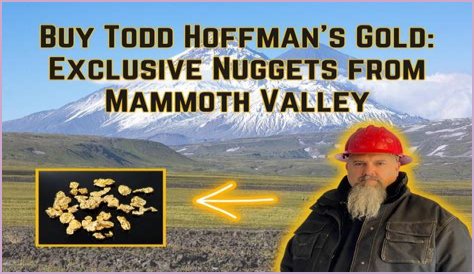 Unveiling The Gold Mine Of Todd Hoffman's Financial Empire